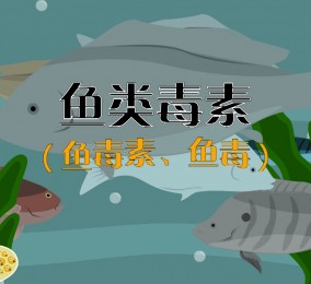 食品有意思：吃魚也中毒？ 