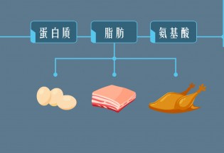 食品有意思：隱藏在美味后的隱患—N-亞硝基化合物