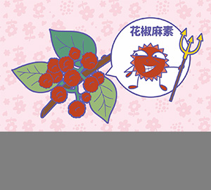 科普視頻：花椒為什么那么麻？（匹配百科詞條：花椒、花椒麻素）